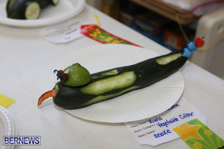 Little-Learners-AG-Show-2015-10