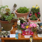 Little Learners AG Show 2015 (19)