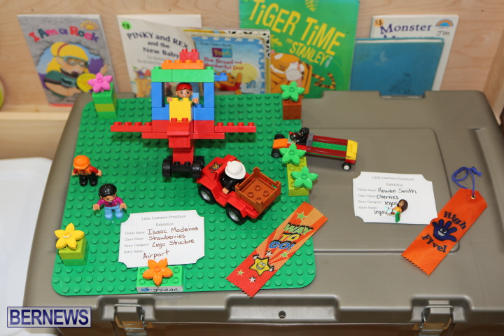 Little-Learners-AG-Show-2015-54