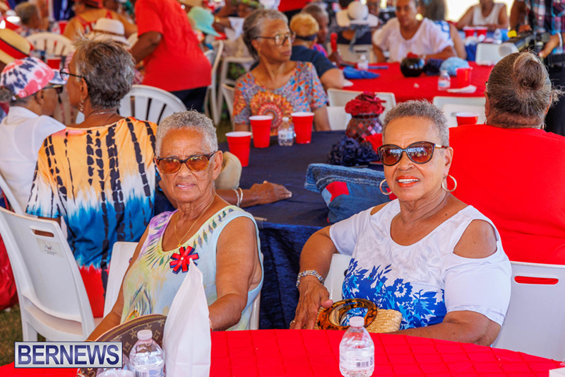 Seniors Tea Party Bermuda Jul 31 2023 DF-24
